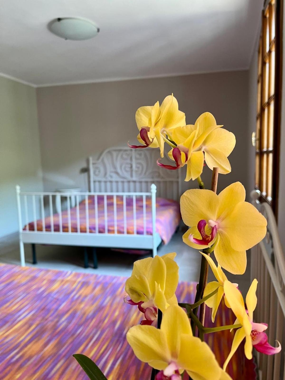 B&B Aria Di Lago Паратико Екстериор снимка